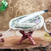 g126 Abalone Shell iridescent Nautical Smudging Approx. 8x 6” Smudging Kit