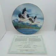 Vintage WINTER WINGS: SNOW GEESE Plate Birds of the North by Darrell Bush w/ COA