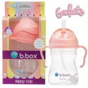 B.Box Sippy Cup Gelato Tutti Frutti 240ml