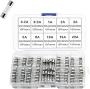 Glass Quick Fast Blow Fuse, 100pcs Glass Tube Fuses Assorted Kit 0.2A~20A, 10 Models Each 10pcs with a Storage Box