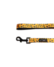 AFL Dog Lead