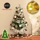 摩達客台製3尺/3呎(90cm)豪華型裝飾綠色聖誕樹/銀白大雪花白果球系全套飾品組+50燈LED燈串 (5.2折)