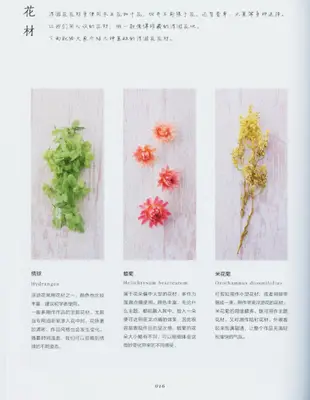 流光溢彩浮遊花：手作40款植物漂浮標本