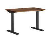 Lazy Maisons 120cm Standing Desks - Agile - Classic