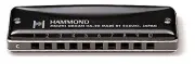 Hammond HA-20 Low F 10-Hole Harmonica Professional Diatonic Blues Key LowF New
