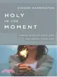 Holy in the Moment ─ Simple Ways to Love God and Enjoy Your Life