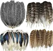 40pcs Natural Pheasant & Turkey Feathers for Crafting DIY Hat, Flower Arrangement, Party - 4 Styles Spotted Craft Decorative Feathers