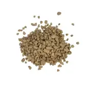 Diatomite Diatomaceous Earth Rock/Stone for Bonsai Succulent Cactus