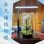 生態瓶植物燈苔蘚補光燈魚缸燈水草燈小型魚缸水陸造景缸專業水草培育LED燈水族專用燈具