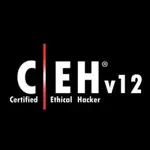 2023年6月18日最新通過CEH V12題庫 VCE 模擬器EC-COUNCIL CEH312-50 V12