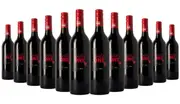 The Wild One Shiraz 2019 - 12 Bottles