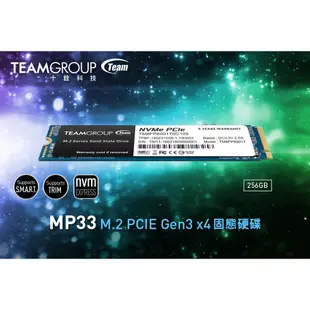 TEAM十銓 MP33 SSD固態硬碟 256G 512G 1TB 2TB M.2 PCIe Gen3 固態硬碟