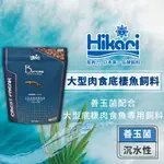 HIKARI 高夠力 大型肉食性底棲魚 善玉菌飼料 恐龍魚 魟魚 紅尾鴨嘴 虎頭鯊