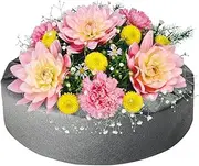 Floating Plant Pot for Pond | Hydroponics Planting Pots,Non-Woven Hydroponics Planting Container for Landscape Pool Lake Waterscape