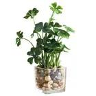 Simulated Plant Ornaments Simulation Bonsai Artificial Potted Office