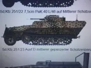 1/72 WW2 GERMAN Sd.Kfz 251/23 Ausf D. Painted Resin model. 3800 models on offer