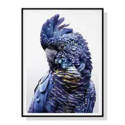 50Cmx70cm Black atoo A Frame Canvas Wall Art