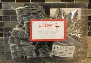 New Pottery Barn Kids Christmas PAPER SNOWFLAKE STRING LIGHTS - Set of 10 Lights
