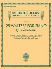95 Waltzes by 16 Composers Piano Solo Sheet Music Book NEW 050600861