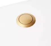 New Brushed Gold Push Button Flush Actuator by Signature Hardware