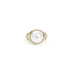 [Casablanca] Casablanca-Gold Pearl Signet Brass Ring-Uomo L STAND