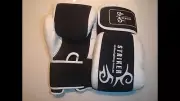 Boxing Gloves 10oz. **WASHABLE**