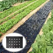 Garden Vegetable Mulch Film Keep Warm 5 Holes Greenhouse Garden Mat for