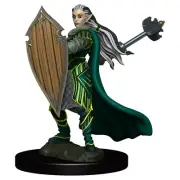 D&D Female Elf Paladin Premium Painted Fantasy Miniature WZK93025 Wizkids
