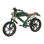 KINGSONG M20 1000W 電動自行車胖胎自行車 EBIKE 山地全懸吊胖胎復古老式電動自行車