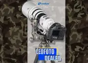 Leofoto LS-365C + PG-1 Camouflage Carbon Fiber Tripod + Gimbal Head