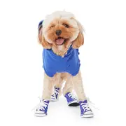 All Day Lace Up Dog Sneakers Blue