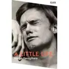 A Little Life by Hanya Yanagihara Paperback Book Picador Collections Novel Story