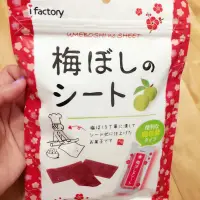 在飛比找蝦皮購物優惠-【日本iFactory 梅乾 梅片 酸甜好滋味 40g 大包