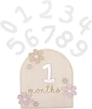 JOINPAYA Newborn Baby Milestone Cards Wood Monthly Milestone Markers Set for Baby Shower and Gender Reveal