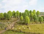 Noch Deciduous Trees 26801 HO Scale