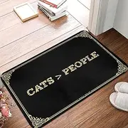 Dsoluuing Doormats for Outdoor Entrance Funny Cats > People Doormat Front Door Mats Outdoor Fall Bathroom Stuff (Color : Colour, Size : 40X60CM)