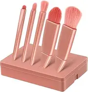 SAFIGLE Portable Makeup Brush Kit 5-in-1 Mini Travel Makeup Brushes Foundation Applicator Mirror for The-go