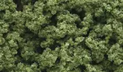Woodland Scenics Light Green Clump Foliage FC682