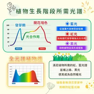 【捕夢網】天使環植物燈(植物燈 植物生長燈 植物日照燈 補光燈 多肉植物燈 盆栽燈 LED燈)