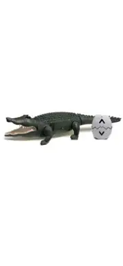 Discovery Kids RC Crocodile Remote Control Pet Toy Learning Animal