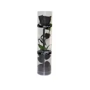 A Real Preserved Rose, Everlasting Rose, Durable Rose, Eternal Flowering Rose black