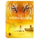 少年Pi的奇幻漂流 Life of Pi DVD