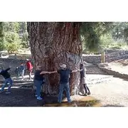 Save 15.00%! Custom Private Tenerife Volcano Car Tour