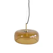 Monty Elegant Curved Clear Glass Pendant Light Lamp - Brown.