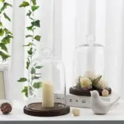 Clear Glass Jar Cloche Dome Display Case with Brown Wood Base, Set of 2