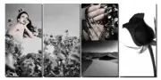 Midnight Escape Ensemble Canvas Mural (4 pcs, 36" x 72")