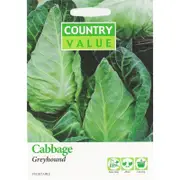 Country Value Greyhound Cabbage Vegetable Seeds