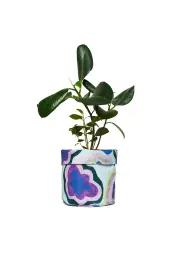 Texta Groove Planter Large