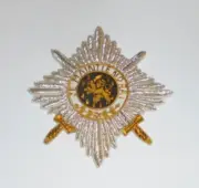 Netherlands Dutch Royal King Knight Order Orange Nassau Star Lion Patch Sword EU