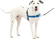 PetSafe Easy Walk Dog Harness, No Pull Dog Harness, Royal Blue/Navy Blue, Medium/Large